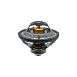 Termostat New Holland 504384724 - 2856541 - 74717126