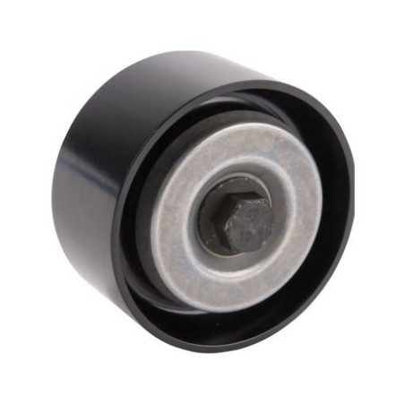 Rolka napinająca F934201040040