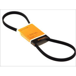 Pasek wieloklinowy 4 PK 1000