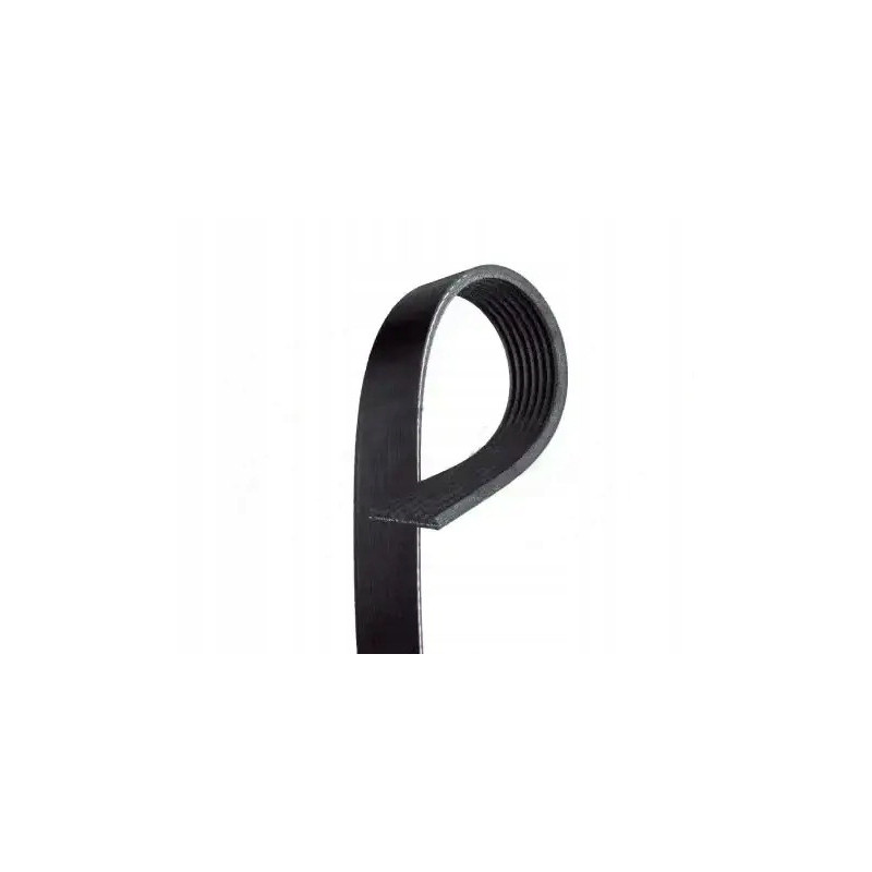 pasek wielorowkowy 7 PK 1955