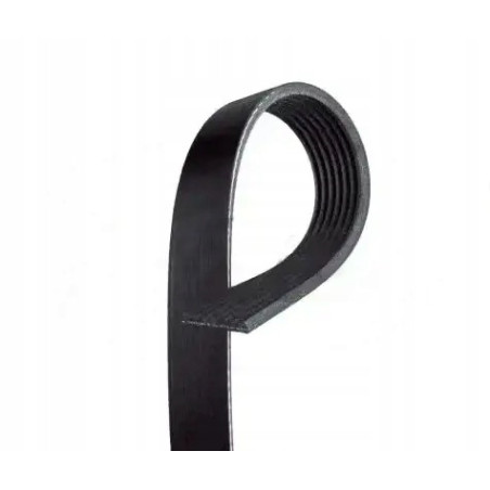 pasek wielorowkowy 7 PK 1955