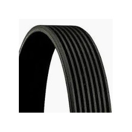 PASEK WIELOROWKOWY 8PK 2500