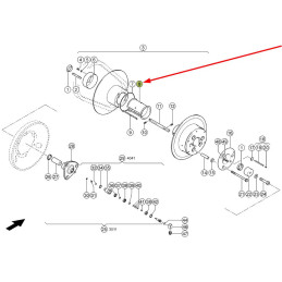 Ślizg teflonowy Claas oryginał  000629841.0