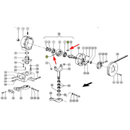 SWORZEŃ Z KOŁNIERZEM 637991